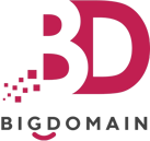 bigdomain_logo-removebg-preview bigdomain_logo-removebg-preview